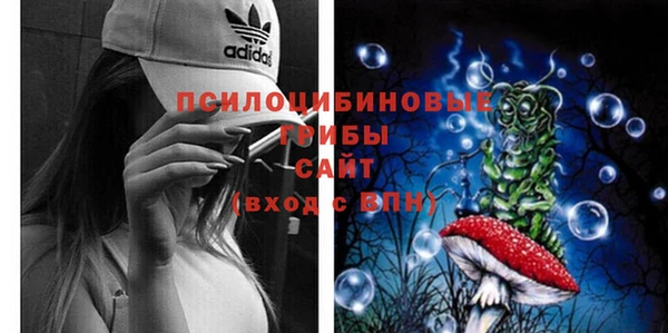 спиды Сосновый Бор